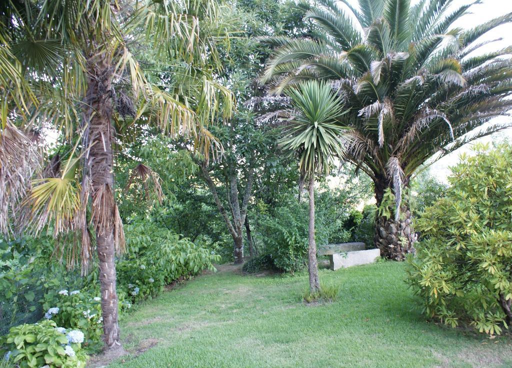 Quinta De Canhoes São Pedro do Sul Εξωτερικό φωτογραφία