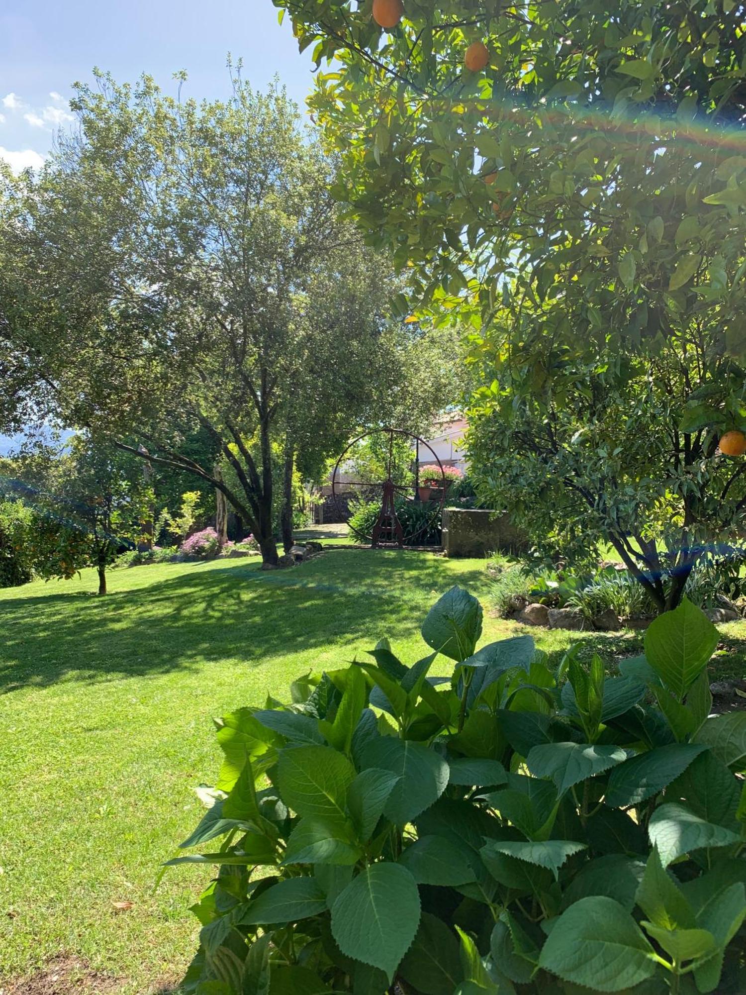 Quinta De Canhoes São Pedro do Sul Εξωτερικό φωτογραφία